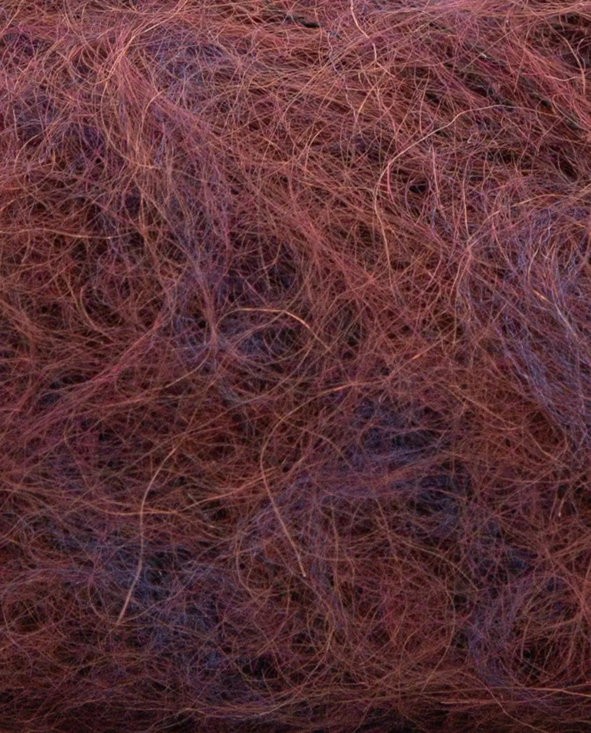 Phil Léo Phildar Wolle