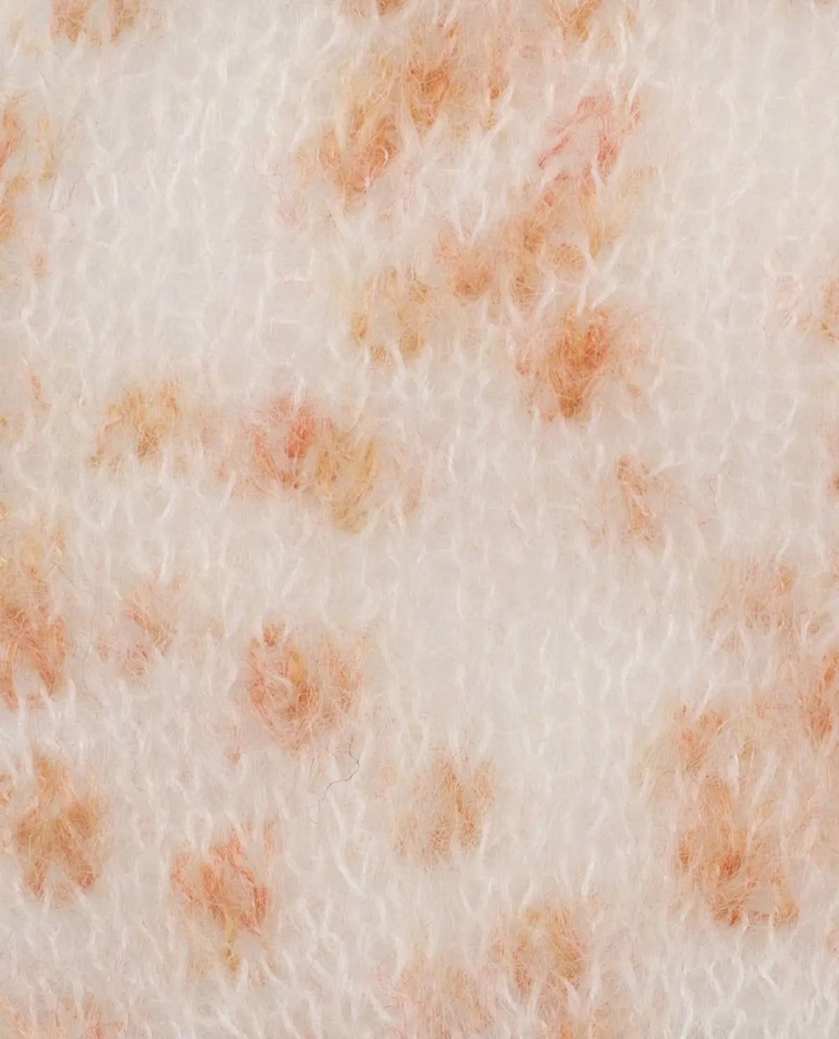 Phil Léo Phildar Wolle