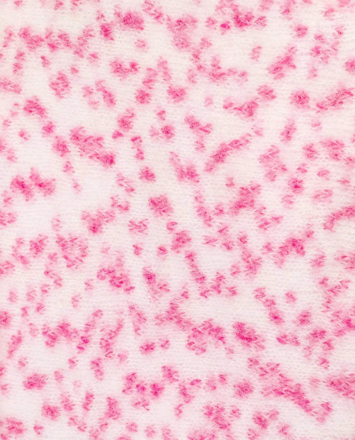 Phil Léo Phildar Wolle