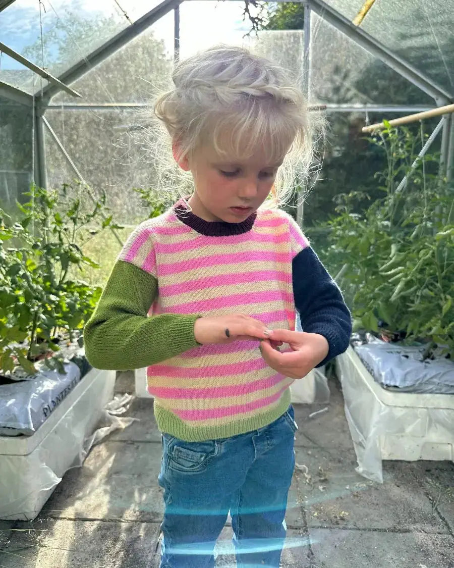 Strickset⎜Holger Bluse PetiteKnit Strickset