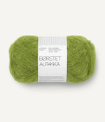 9564 matcha -