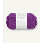 5045 plum