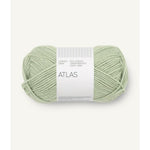 8521 dusty light green