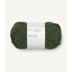 8571 dark forest green