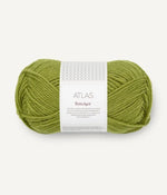 9564 matcha