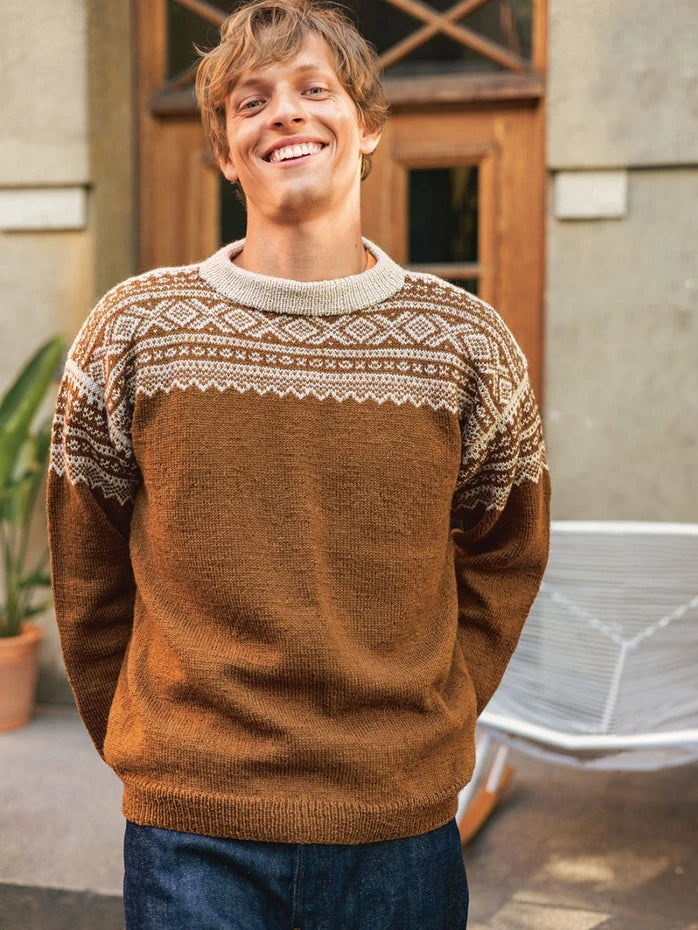 Marius Herrenpullover