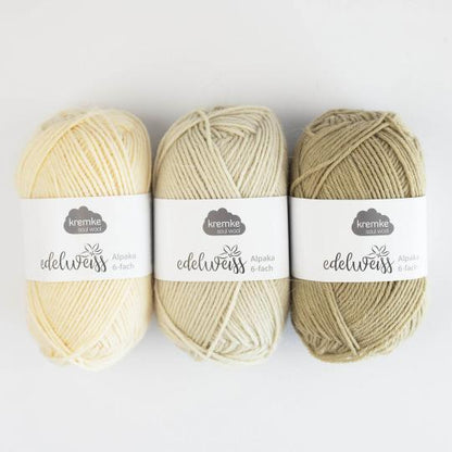 Strickset⎜Easy Socks